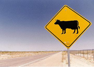 《碧蓝幻想：Relink》发售日预告 明年2月1日发售